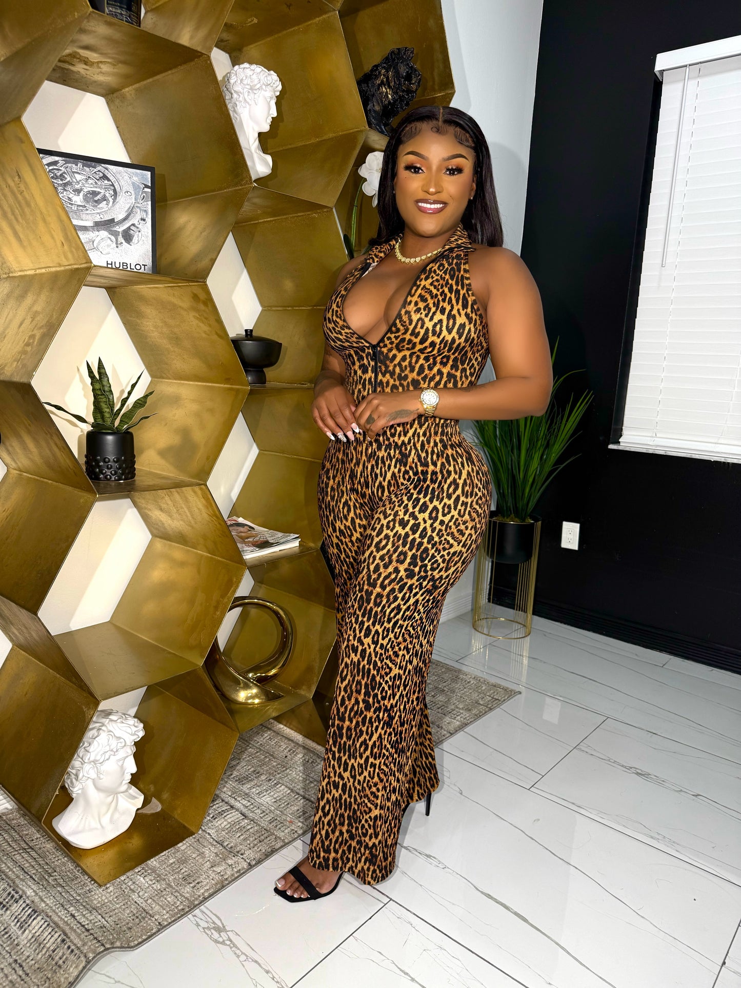 Cheetah set