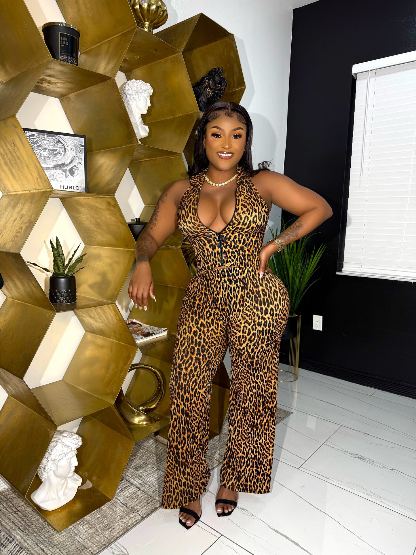 Cheetah set